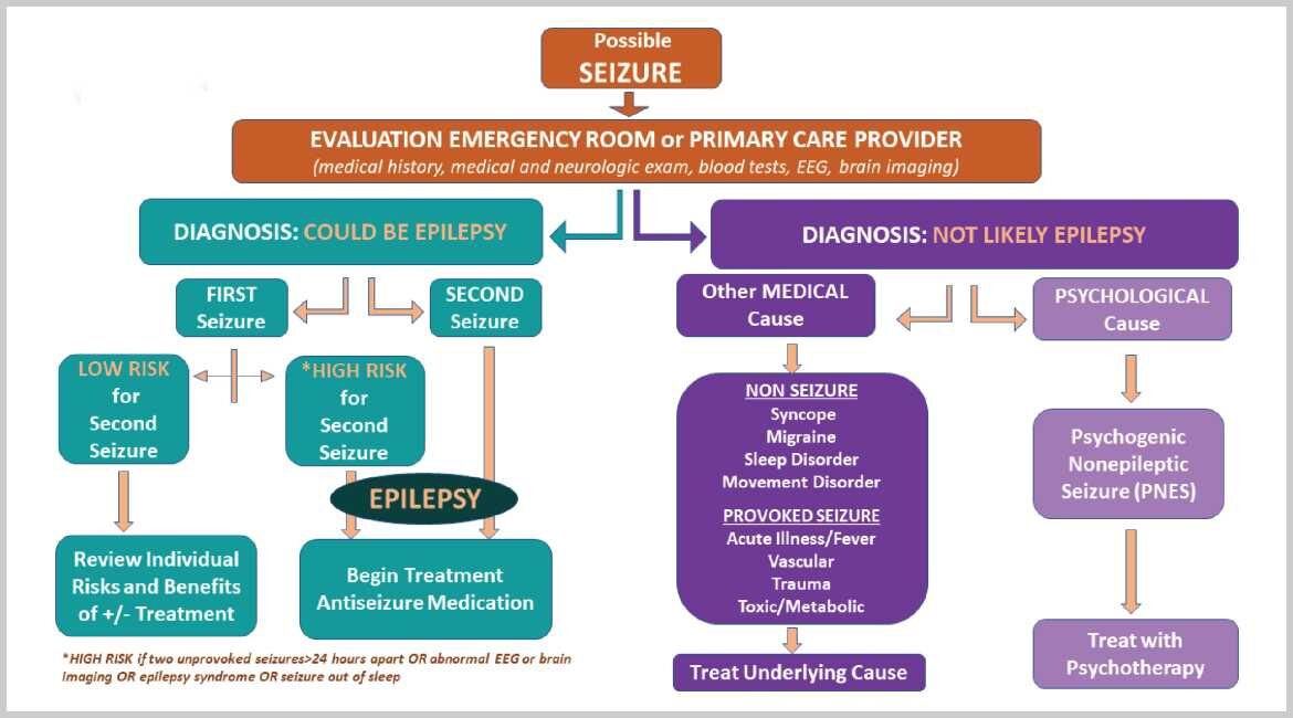 Epilepsy Patient Information